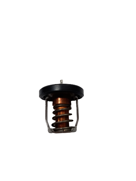 17670-91J02, SUZUKI OUTBOARD THERMOSTAT  (50c deg)