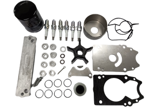 16500-98J02, Suzuki Outboard Service Kit, DF250A/DF300(A)/DF250S(11-), (S/S 17400-98867)