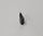 0334897, BRP Evinrude/Johnson Impeller Key - Black