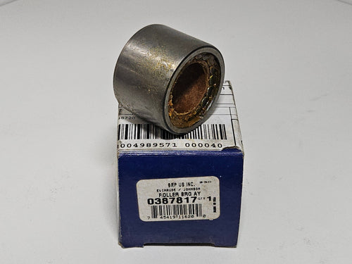 BRP, Roller Bearing, 0387817
