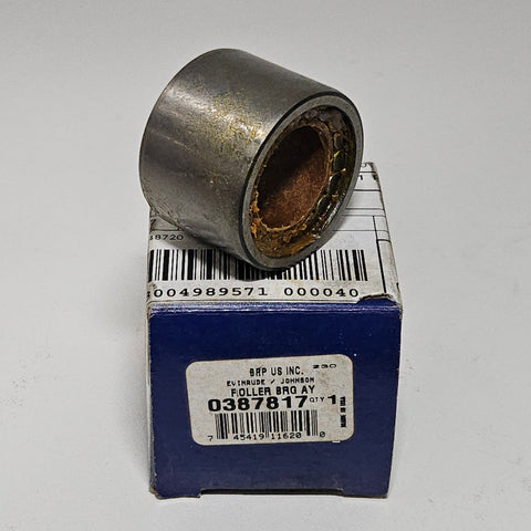 BRP, Roller Bearing, 0387817