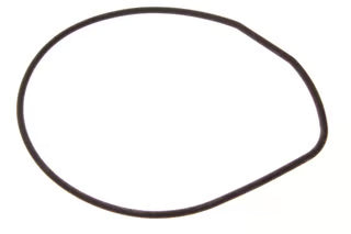 0324981, BRP Evinrude/Johnson, Water Pump Housing Seal.