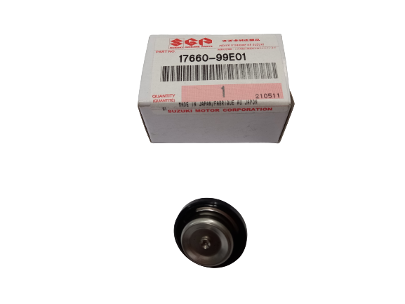 17660-99E01, SUZUKI OUTBOARD VALVE, WATER PRESSURE