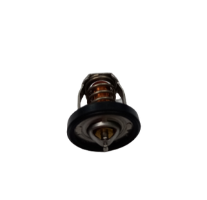 17670-91J02, SUZUKI OUTBOARD THERMOSTAT  (50c deg)